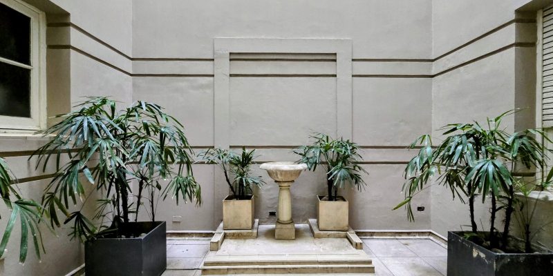 Patio Chico