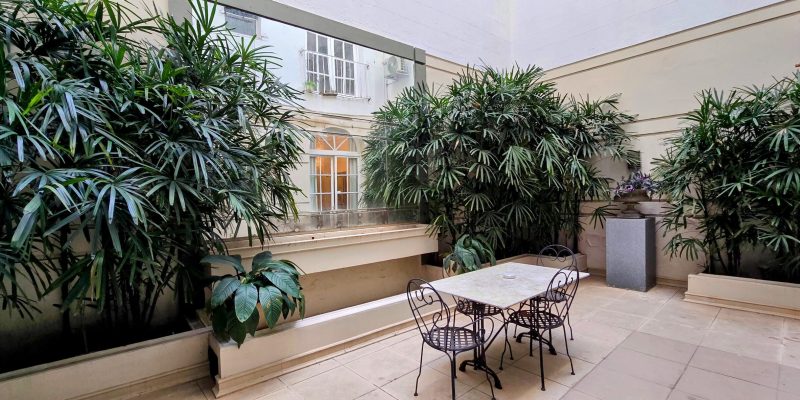Patio Trasero